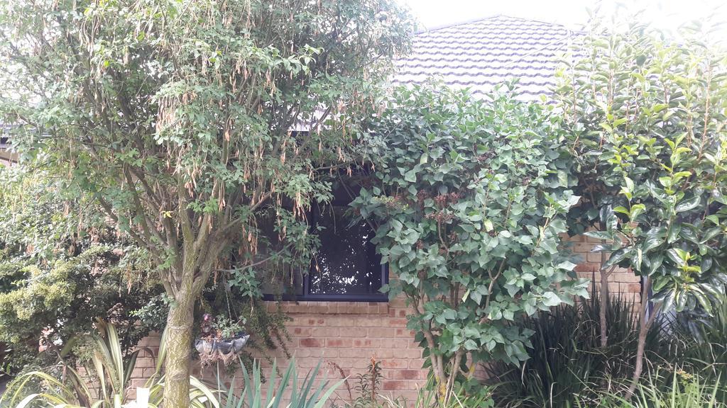 Jade Bed&Breakfast Blenheim Exterior foto